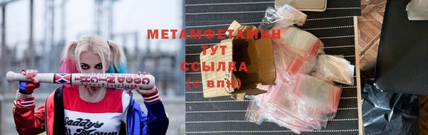 крисы Надым