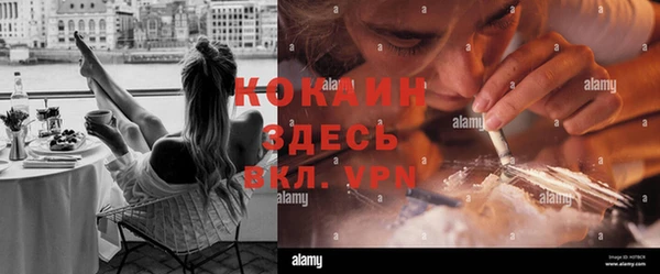 крисы Надым
