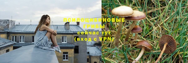 молекула духа Наволоки