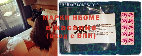 крисы Надым