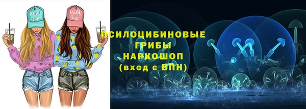 крисы Надым