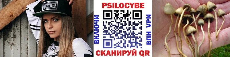 Псилоцибиновые грибы прущие грибы  Сургут 
