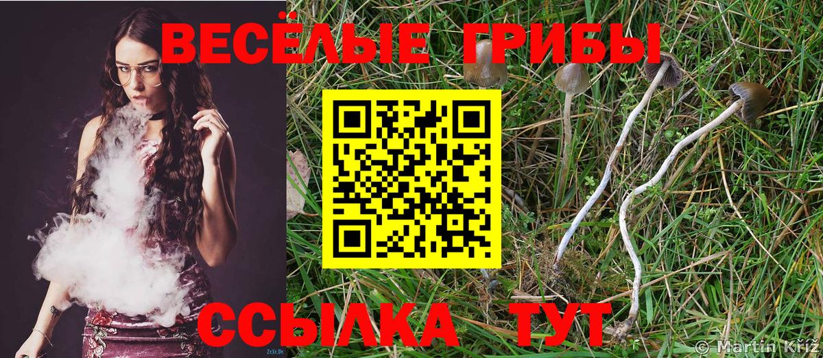 Псилоцибиновые грибы Magic Shrooms  Псилоцибиновые грибы Psilocybine cubensis  Сургут 