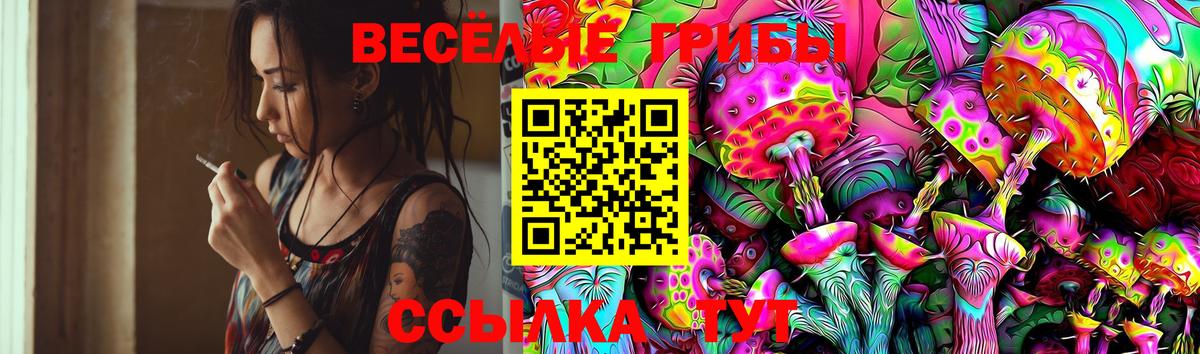 Сургут  Галлюциногенные грибы GOLDEN TEACHER  Псилоцибиновые грибы прущие грибы  Вход с VPN 