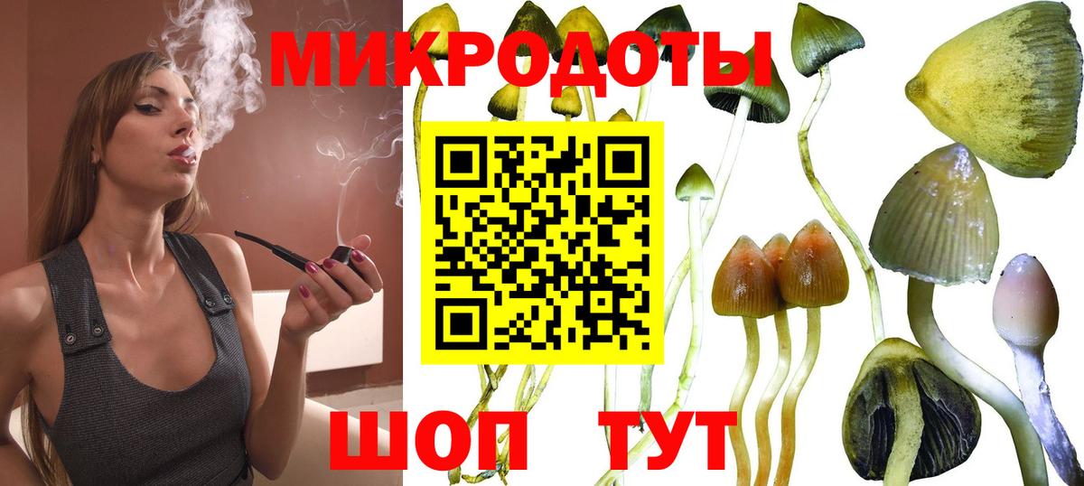 Псилоцибиновые грибы мухоморы Сургут